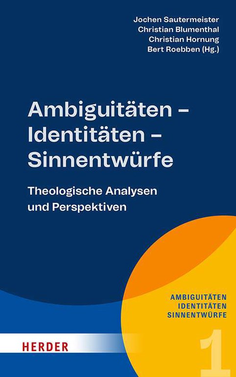 Cover: Ambiguitäten - Identitäten - Sinnentwürfe