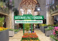 Workshop Kirche weiter-nutzen